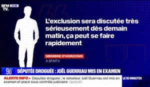 Mise en examen de Joël Guerriau: "L'exclusion sera discutée très sérieusement dès demain matin", affirme un membre d'Horizons à BFMTV