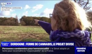 Dordogne: un projet de ferme de cannabis thérapeutique ne fait pas l'unanimité auprès des habitants