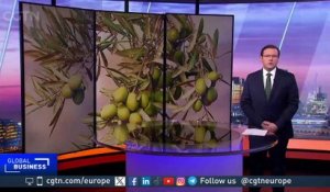 Europe olive oil industry in crisis