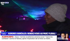 Le spectacle "l’Odyssée Lumineuse" du parc Floral, propose d'admirer des aurores boréales sans bouger de Paris