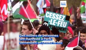 Des marches pour la Palestine en France, au Royaume-Uni et aux Etats-Unis
