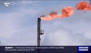 COP28: le chef de l'OPEP presse ses membres de "rejeter" tout accord qui cible l'énergie fossile