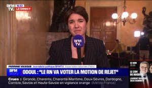Loi immigration: le Rassemblement national va voter la motion de rejet du texte selon Julien Odoul (député RN de l'Yonne)