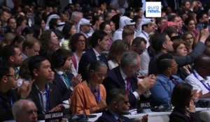 COP28 : réactions mitigées après la signature de l'accord final de la conférence