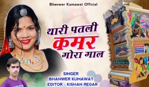 Rajasthani Dj Song 2024 | Thari Patli Kamar Gora Gora Gaal | Bhanwar Kumawat | New Marwadi Song 2024