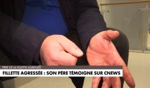 Le témoignage du père de la fillette de 7 ans agressée au Trocadéro :  "L’individu est arrivé par surprise, par derrière"