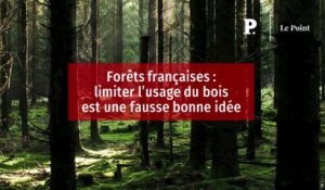 Forêts françaises : limiter l’usage du bois est une fausse bonne idée