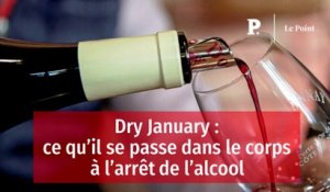 Dry January : ce qu’il se passe dans le corps à l’arrêt de l’alcool