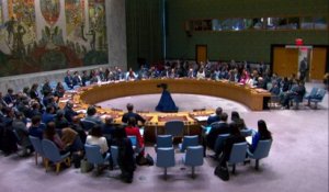 Gaza : le Conseil de sécurité adopte sa première résolution pour un « cessez-le-feu », les États-Unis s’abstiennent