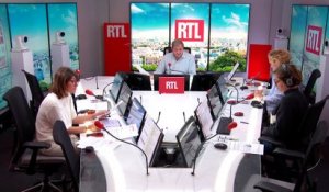 RTL ÉVÉNEMENT - Le trafic d'oiseaux parfois plus lucratif que le trafic de drogue
