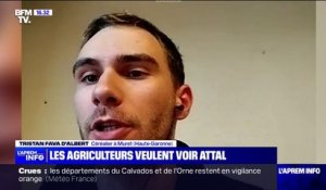 Blocage de l'A64: "On reste mobilisés jusqu'à ce qu'on ait une réponse claire de l'État", affirme Tristan Fava d'Albert, céréalier à Muret (Haute-Garonne)