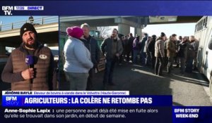 Blocage de l'A64: Jérôme Bayle, éleveur bovin dans le Volvestre, affirme que les agriculteurs sont "déterminés" à continuer le mouvement