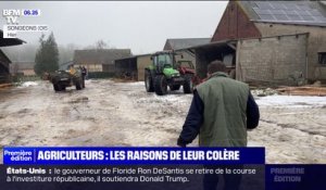 Hausse des charges, normes, interdiction de certains pesticides... Les raisons de la colère des agriculteurs