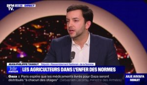 Mobilisation des agriculteurs: "L'Union européenne a appliqué des dogmes qui se sont effondrés", pour Jean-Philippe Tanguy (RN)