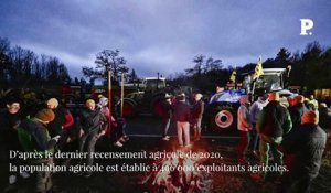 Salaires, âge, inégalités territoriales… Qui sont les agriculteurs français ?