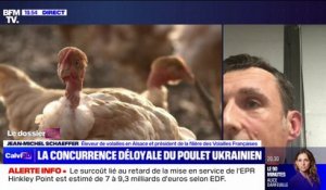 Poulets ukrainiens: "Ça déstabilise tout le marché et entraîne le prix de nos volailles à la baisse", déplore Jean-Michel Schaeffer (président de la filière des Volailles Françaises)
