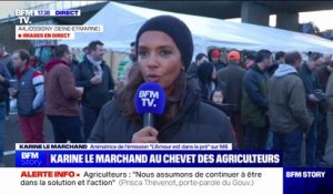 "C'était très important d'être là auprès d'eux": L'animatrice Karine Le Marchand sur un point de blocage en Seine-et-Marne pour soutenir les agriculteurs
