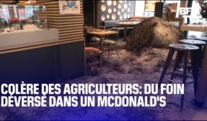 Lot-et-Garonne: du foin déversé dans un Mcdonald's par des agriculteurs en colère