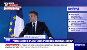 Emmanuel Macron: "Nous devons remettre au cœur des objectifs européens notre souveraineté alimentaire"