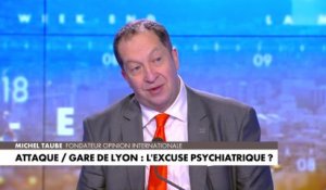 Michel Taube : «Cette haine de la France qui est relayée par de nombreux pays en Afrique, elle est présente sur le sol français»