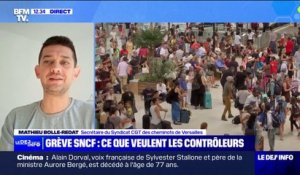 Mathieu Bolle-Redat (secrétaire des sections de Trappes et de Versailles de la CGT-Cheminots): "La grève aura lieu et elle sera un succès"
