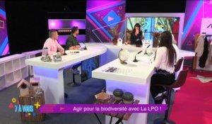 Coup de projecteur sur la LPO Loire qui nous propose de découvrir la biodiversité de notre département de manière ludique et pédagogique à travers de multiples activités pour tous les publics proposés tout au long de l'année !