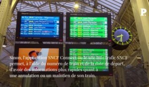 Grève SNCF : comment savoir si votre train est annulé ?