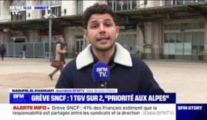 Grève à la SNCF: certains voyageurs agacés par la "priorité" donnée aux trajets vers la montagne
