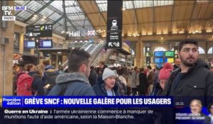 "La grève ne m'enchante pas du tout": les usagers de la SNCF craignent un week-end de galères après l'appel à la grève