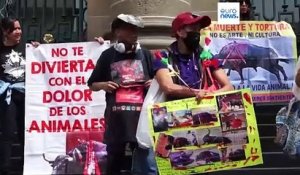 Au Mexique, des militants font pression pour faire interdire la corrida