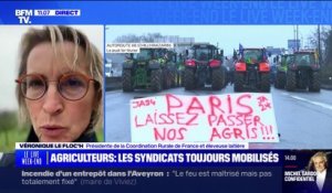 Colère des agriculteurs: Véronique Le Floc'h, présidente de la Coordination Rurale de France, affirme que le Salon de l'Agriculture "sera le salon de la colère"