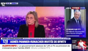 Agriculture: "On ne va pas résoudre en quelques jours leurs problèmes", affirme Agnès Pannier-Runacher