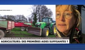 Véronique Le Floc’h : «Notre agriculture est trois fois moins aidée qu’aux Pays-Bas»