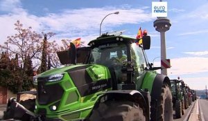 Espagne : les agriculteurs ont manifesté dans la capitale contre les politiques de l'UE