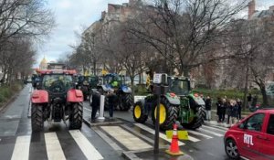 Colère des agriculteurs : des tracteurs de la Coordination rurale défilent dans Paris