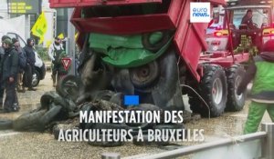 Des agriculteurs manifestent à Bruxelles