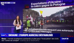 LES ÉCLAIREURS - L'Europe agricole déstabilisée par les exportations ukrainiennes
