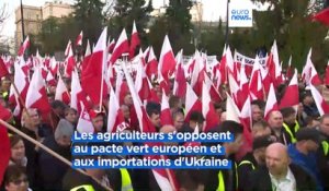 Des agriculteurs polonais manifestent à Varsovie
