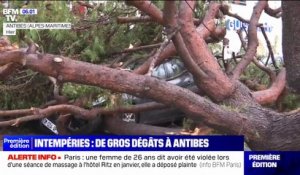 Arbres arrachés, toitures endommagées... de gros dégâts à Antibes après les intempéries