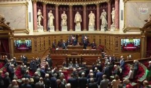 Sénat: la séance de questions au gouvernement en direct