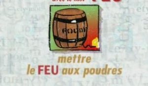 Mot de passe:  Feu