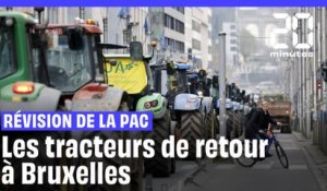 Colère des agriculteurs : L’Union européenne révise la PAC, les tracteurs de retour à Bruxelles