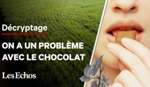 Le vrai problème avec le chocolat