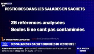 LA BANDE PREND LE POUVOIR - Des salades en sachet bourrées de pesticides