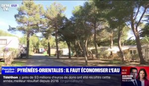Pyrénées-Orientales: les campings signent une charte pour économiser l'eau