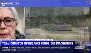 Crues: "Le cours d'eau a débordé cette nuit", explique la maire de Semur-en-Auxois (Côte-d'Or)