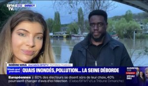Yvelines: la commune de Port-Marly envahie par les déchets flottants sur la Seine