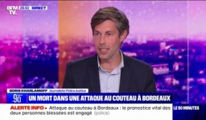 Bordeaux: une attaque au couteau a fait un mort et un blessé grave à proximité du Miroir d'eau