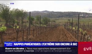 "C'est terrible de tout perdre": un viticulteur des Pyrénées-Orientales touché par l'extrême sécheresse témoigne