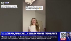 Européennes: "Amandine Le Pen", "Lena Maréchal"... sur Tiktok, ces faux comptes entendent pousser l'extrême droite